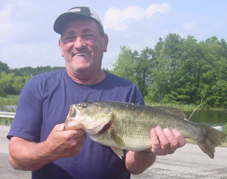 Big ish 2011